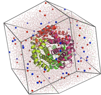 Molecular-Dynamics-Simulation-Service_0.jpg