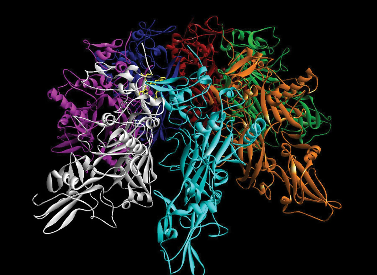 anthrax-image-protein-units-drug-factor-unit.jpg